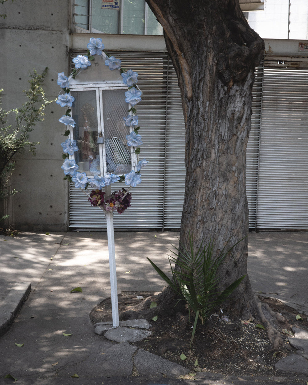 Mexico City's Street Ofrendas: A Collective Acknowledgment of what Remains Unknown
