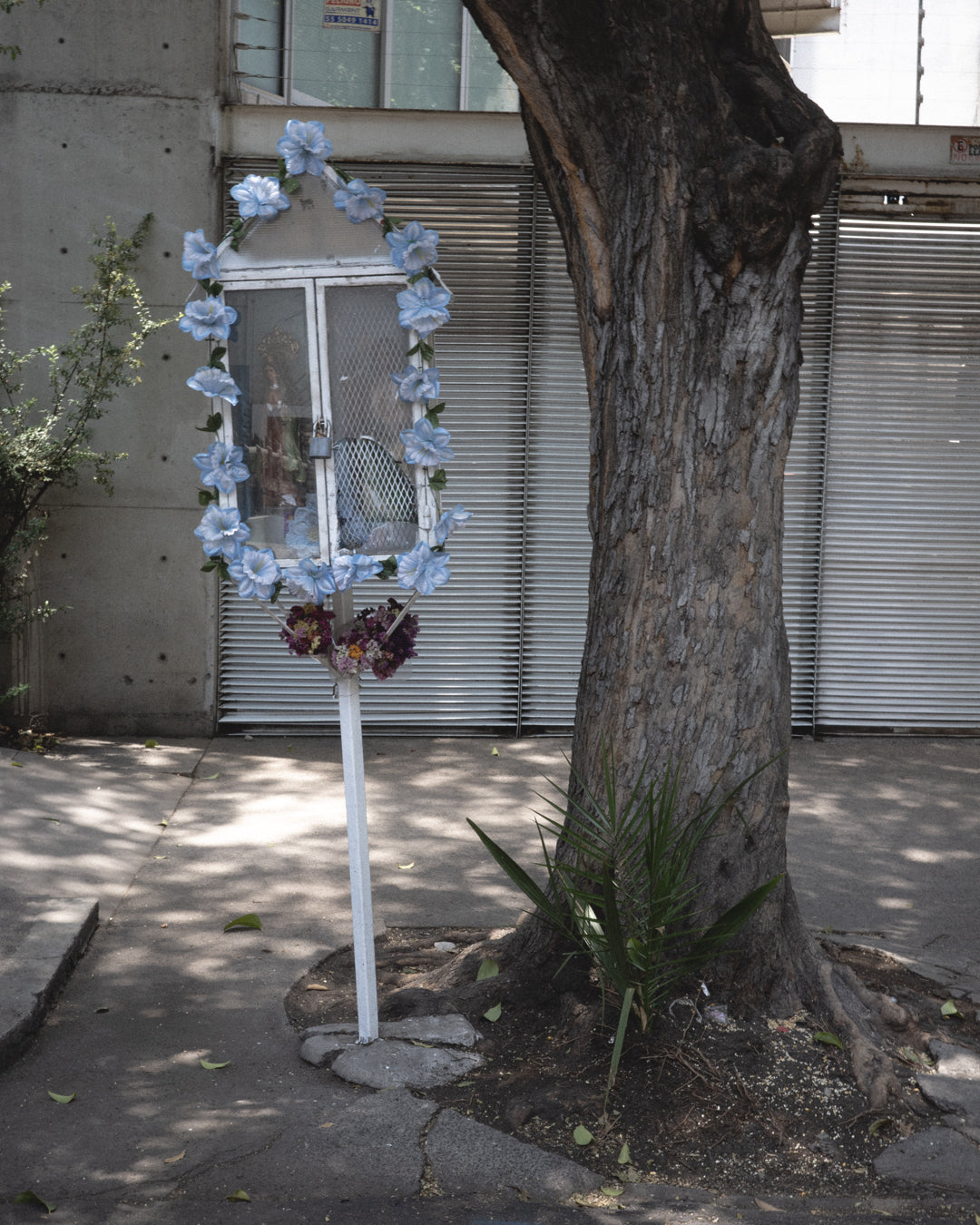 Mexico City's Street Ofrendas: A Collective Acknowledgment of what Remains Unknown