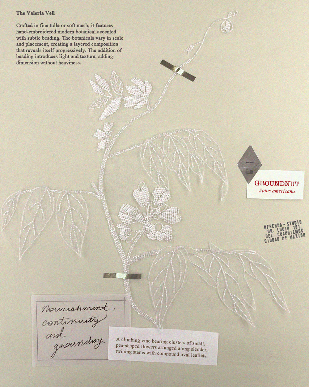 Botanical Studies for the Valeria Veil