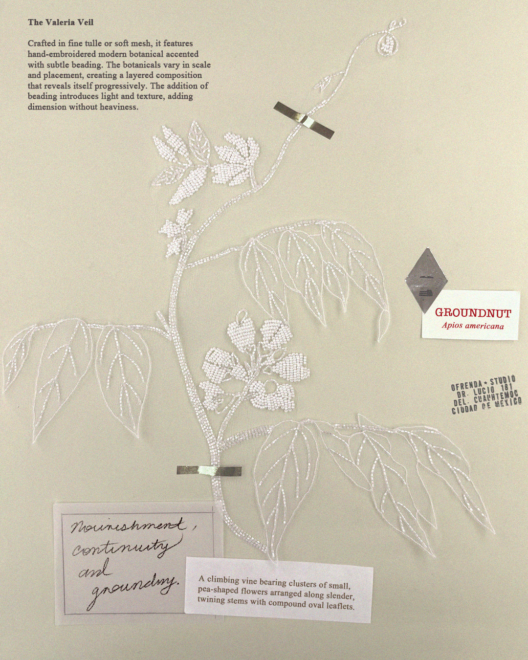 Botanical Studies for the Valeria Veil