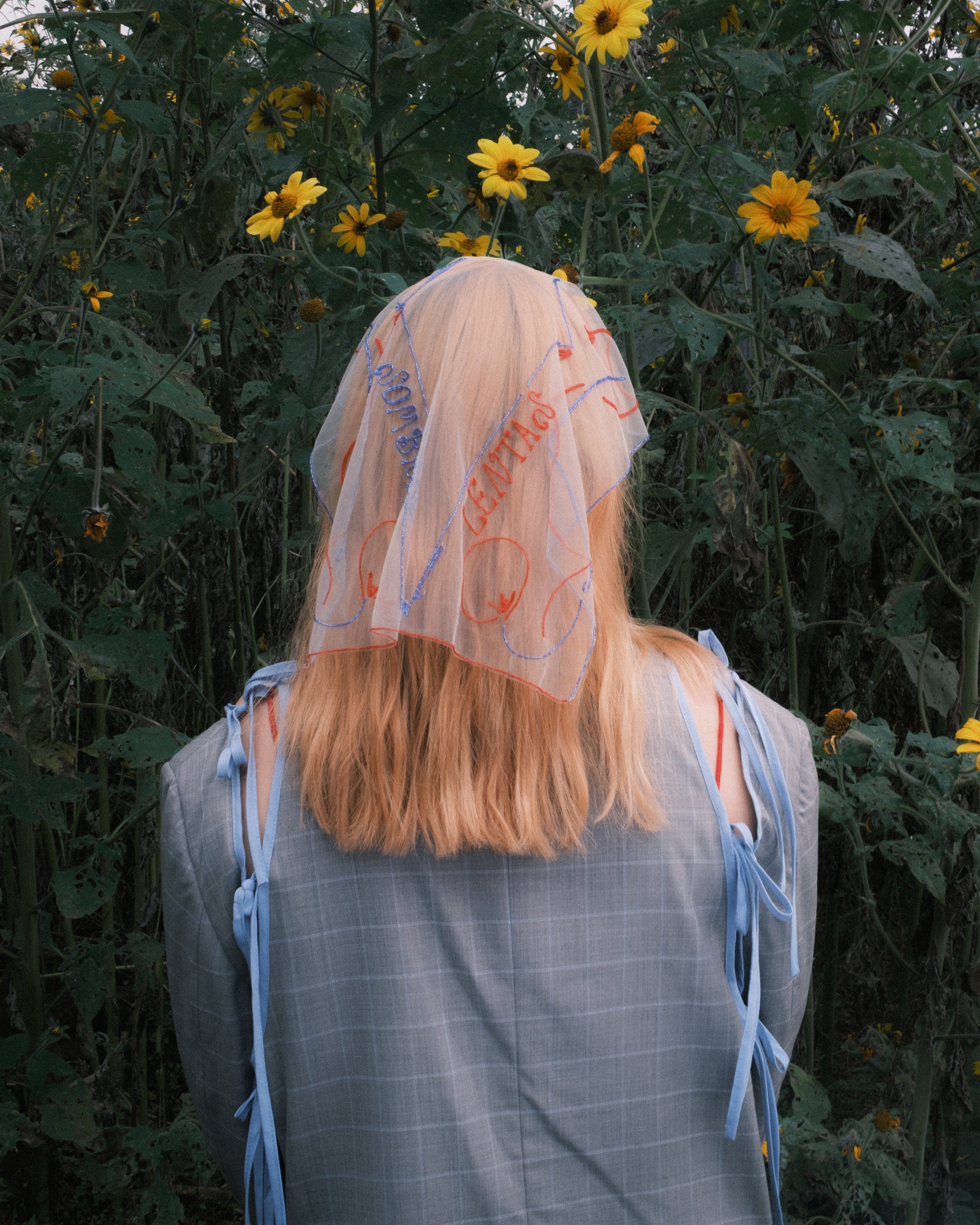 SLOW SHADOWS MINI VEIL .- X Jackie Crespo