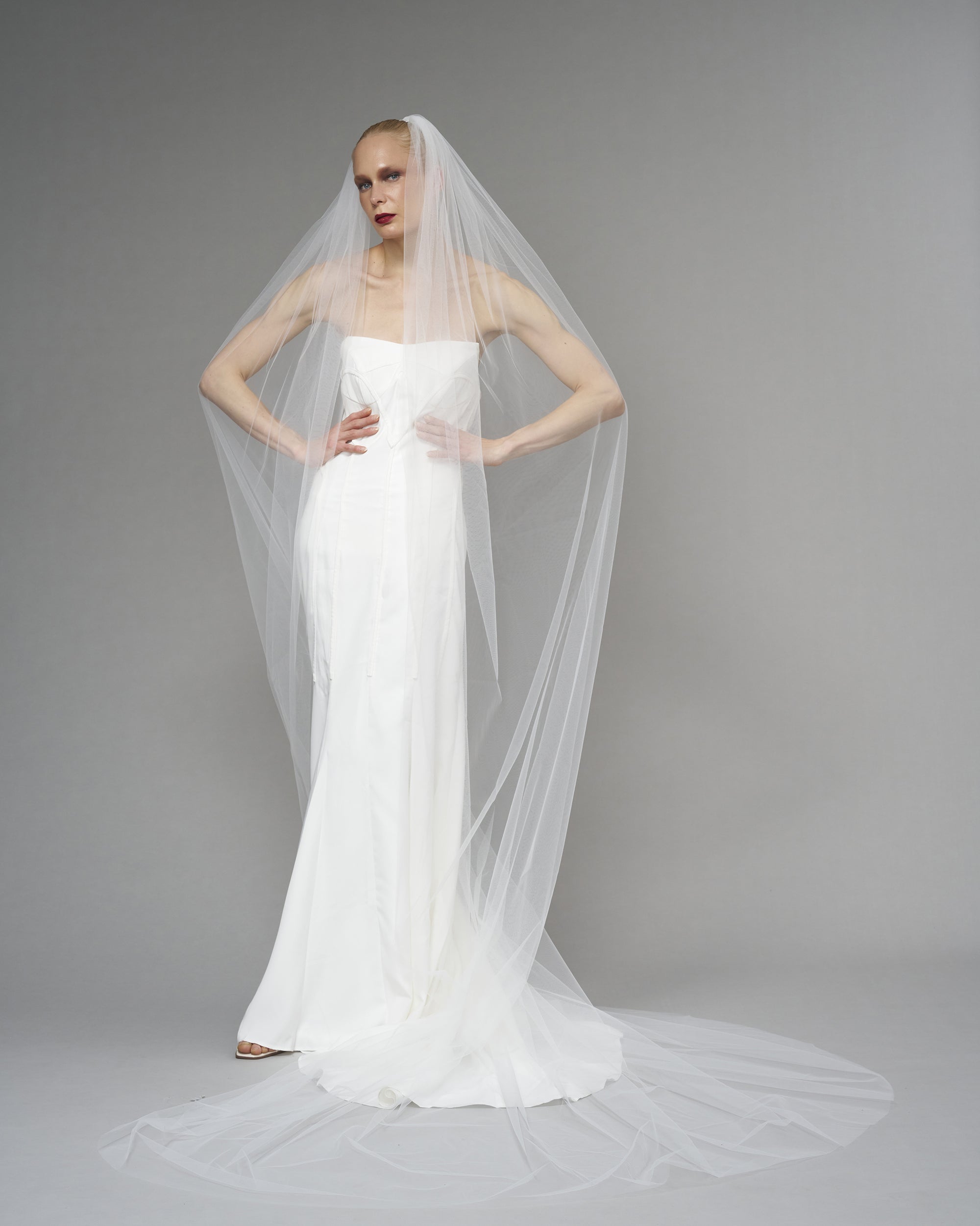 ENGLISH TULLE // RAW EDGE CATHEDRAL LENGTH  118" // OFF WHITE