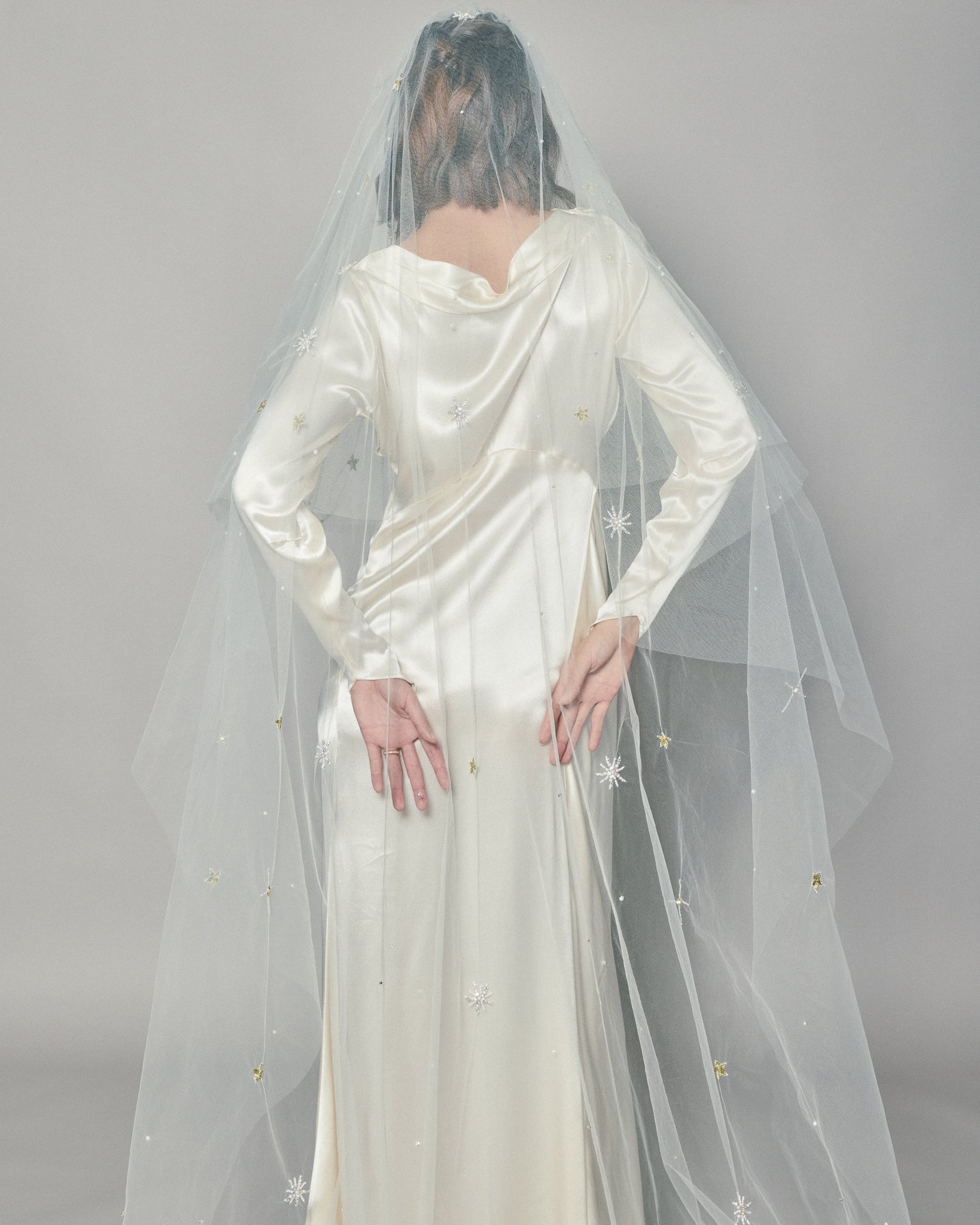 STARLIGHT COLOR EMBROIDERED VEIL